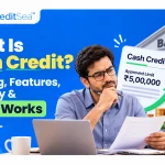 What Is Cash Credit